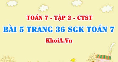 Bài 5 trang 36 SGK Toán 7 tập 2 Chân trời sáng tạo